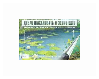 Добро пожаловать в экологию. Демонстрационные картины и динамические модели для детей 5-6 лет. - фото №2