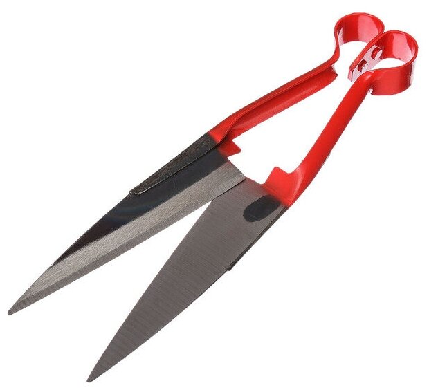Ножницы для стрижки овец, 12" (30.5 см), с металлическими ручками - фотография № 2