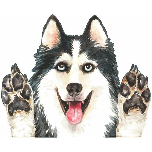 Наклейки на автомобиль на стекло прикольные 260₽