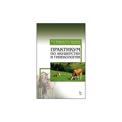 фото Юсупов с.р. "практикум по акушерству и гинекологии. учебное пособие. гриф умо вузов рф" лань