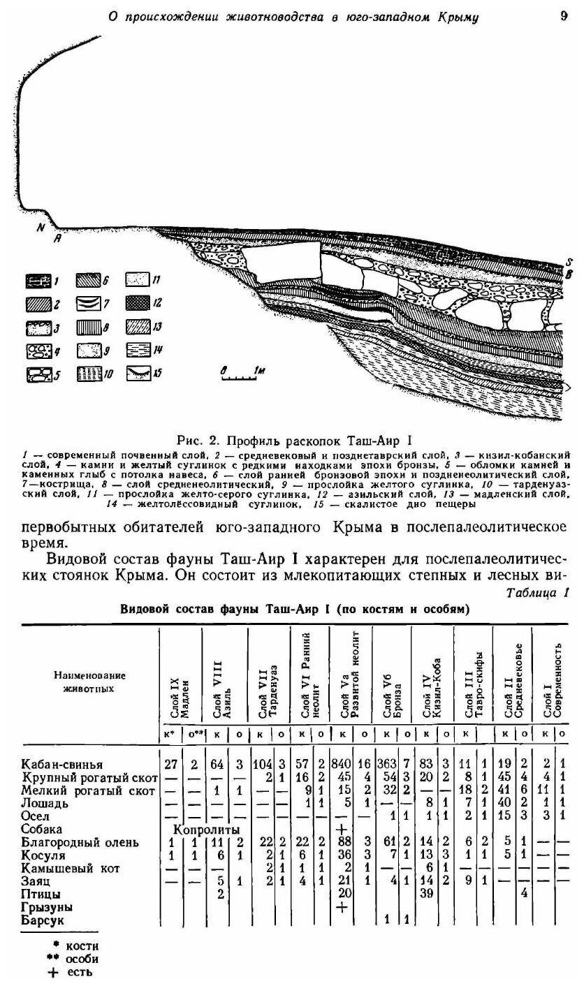 Книга Советская археология. №2 - фото №9