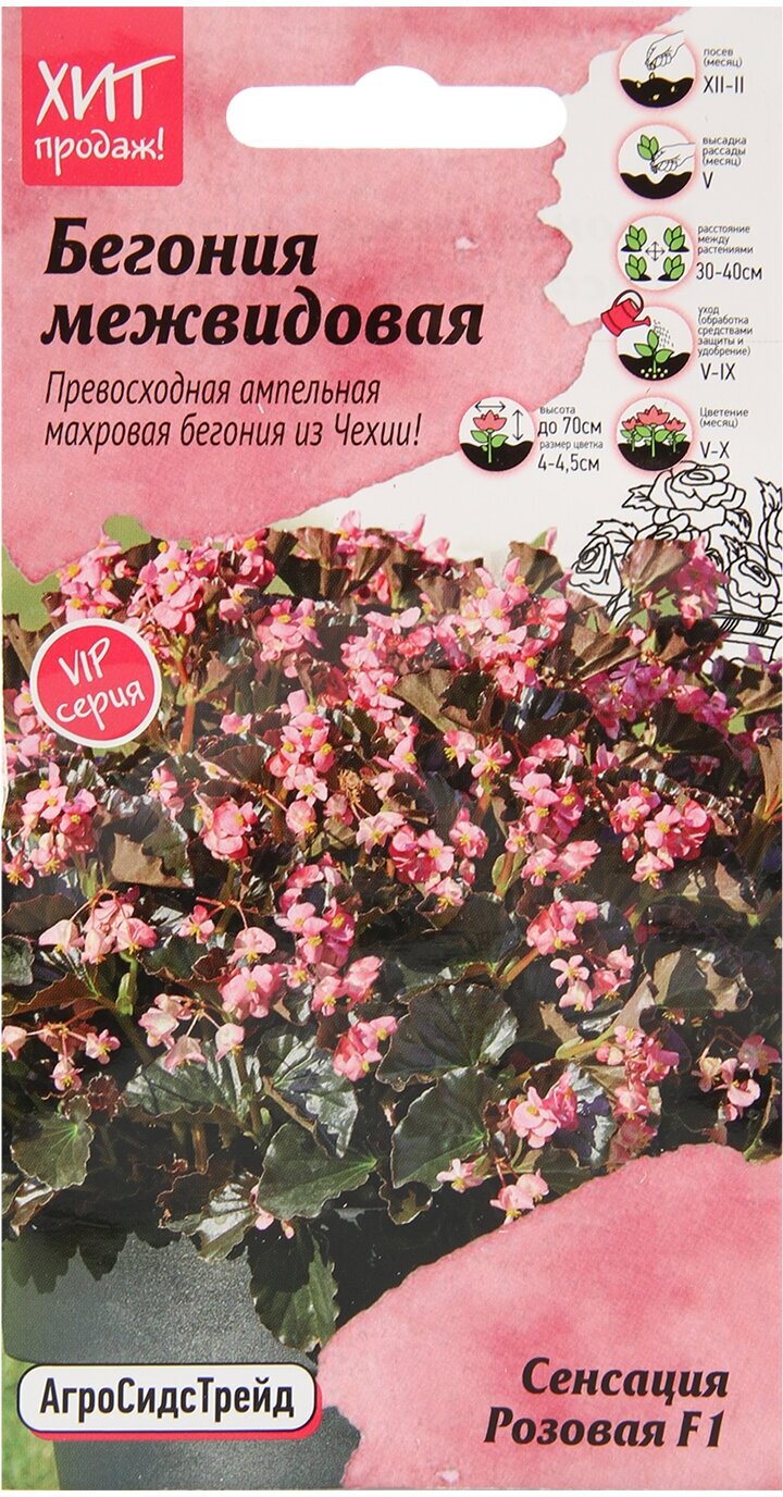 Семена бегонии клубневой многолетней Сенсация Розовая F1 5 шт АСТ, Бегония клубневая , многолетние цветы для балкона, сада и горшков