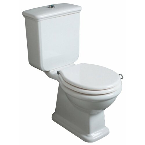 фото Чаша унитаза напольная simas