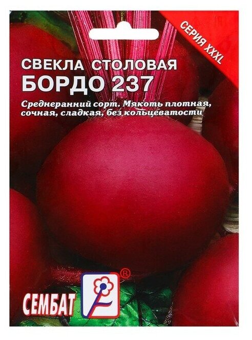 Семена ХХХL Свекла "Бордо 237", 15 г