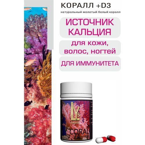 Коралл+D3 30 капсул (LYs Cosmetics & Health), iHERB  - купить