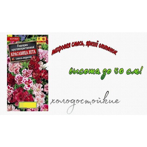 Семена Годеция крупноцветковая "Красавица лета" смесь сортов, 5 упаковок по 0,3 г. Годеция имеет яркие, насыщенные оттенки махровых цветков