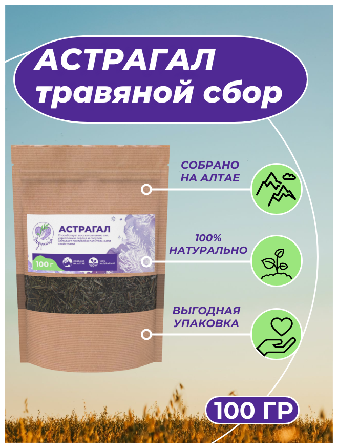 Астрагал травяной сбор фиточай натуральный сушеный Ведуница 100г