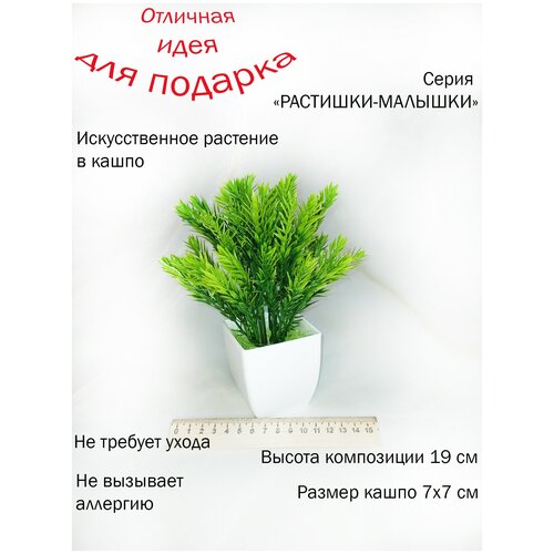 Искусственное растение в кашпо. Декоративное растение в горшке. Подарок женщине, девушке