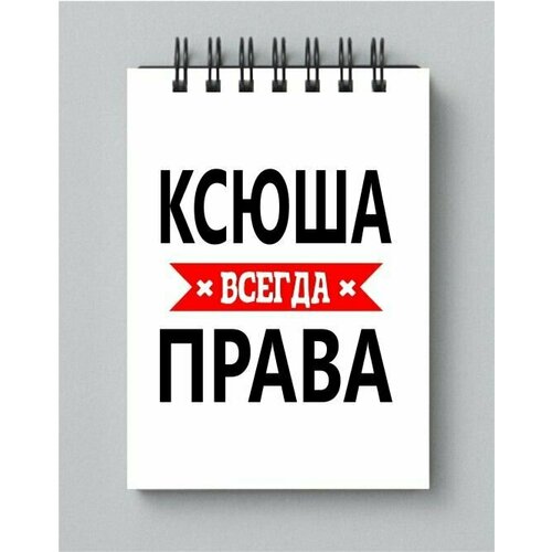 кружка ксюша всегда права серебристого цвета 330 мл Блокнот MIGOM принт А4 Ксюша всегда права