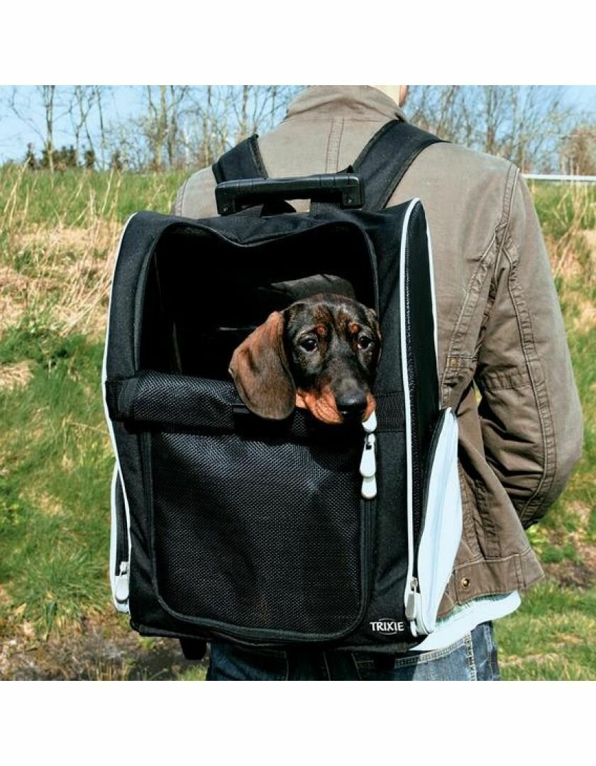 Trixie Сумка-переноска транспортная для собак мелкого размера, 36х50х27 см, черная-серая - фото №10