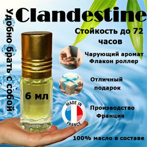 Масляные духи Clandestine, женский аромат, 6 мл.