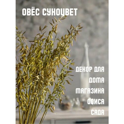 Овес аксессуар реквизит для декора и рукоделия 60см