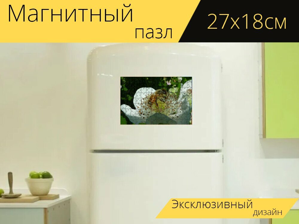 Магнитный пазл "Пчела, крылья, пчелы" на холодильник 27 x 18 см.