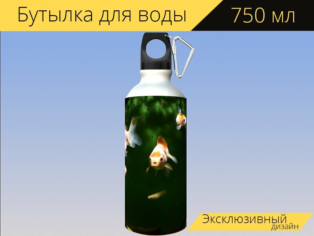 Бутылка фляга для воды "Золотая рыбка, рыба, аквариум" 750 мл. с карабином и принтом