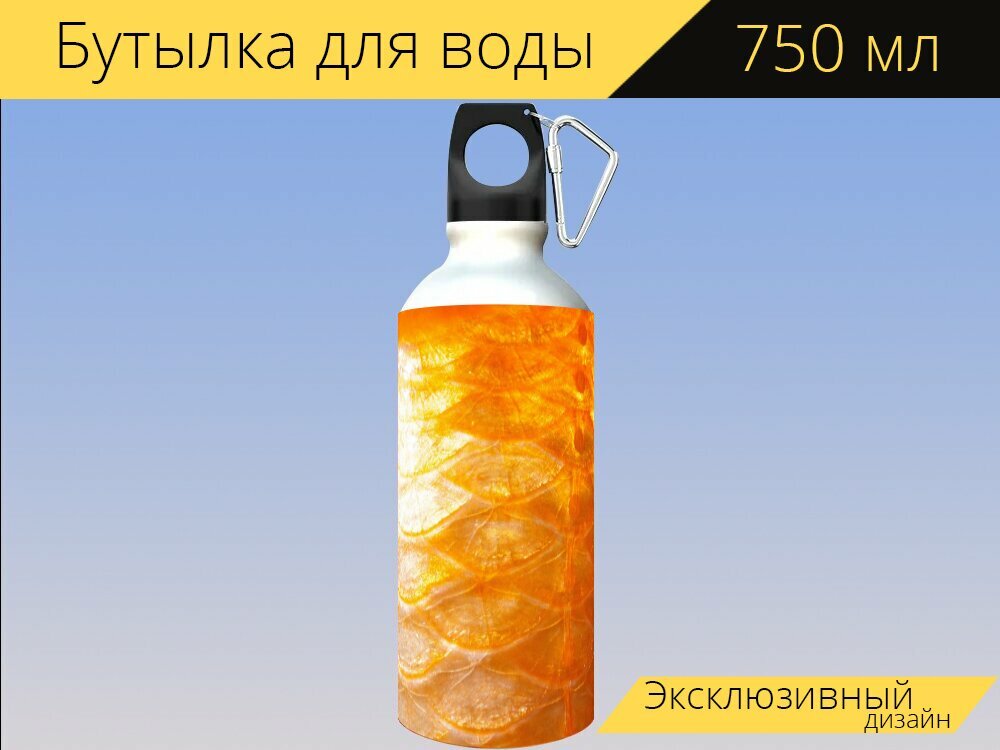 Бутылка фляга для воды "Перхоть, рыбья чешуя, золотая рыбка" 750 мл. с карабином и принтом