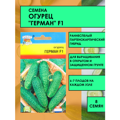 Семена Огурец Герман F1, 8-9 шт. семена огурца маша f1 4 упаковки 2 подарка