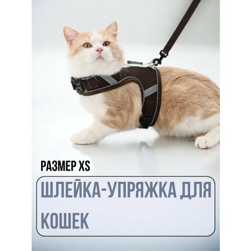 Шлейка для кошек, голубая XS