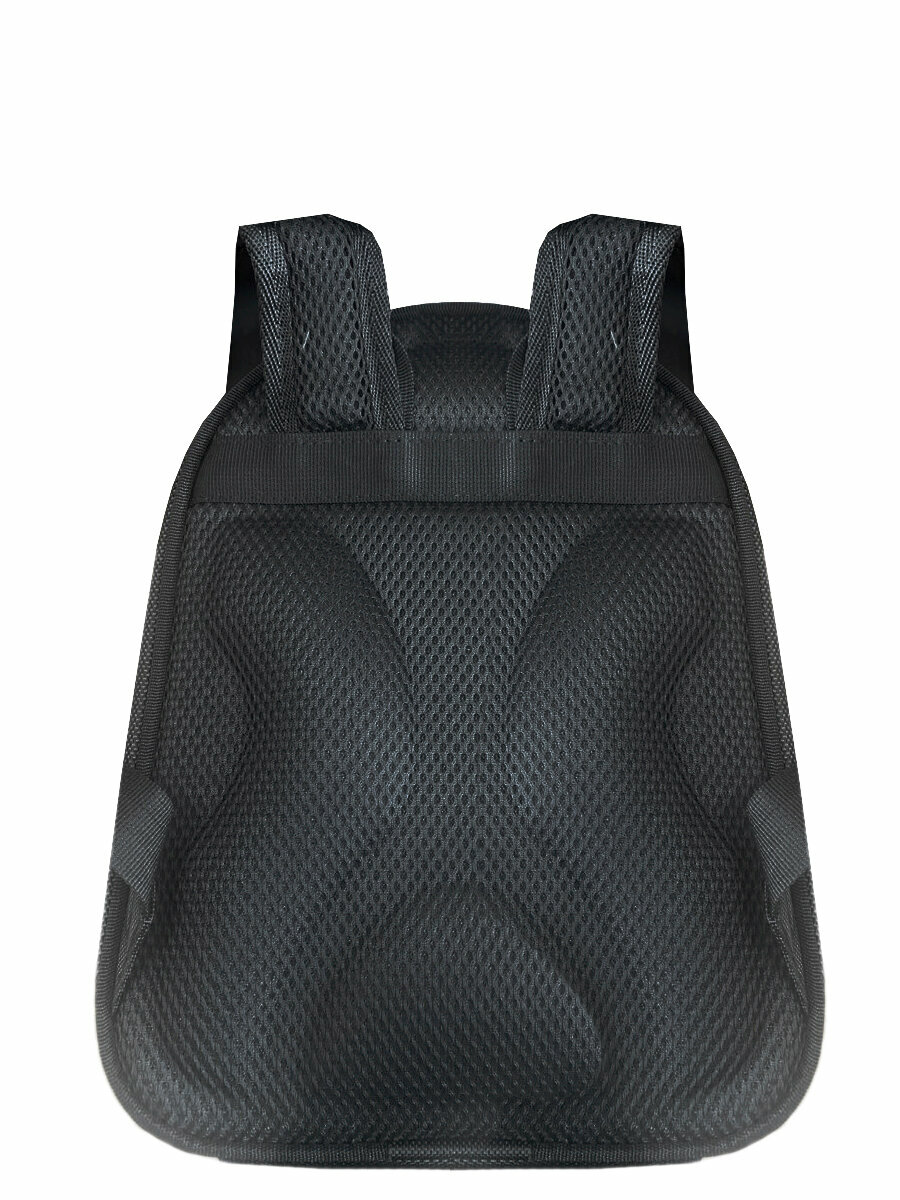 Рюкзак BagRio NP39/19-mini/g - фото №4