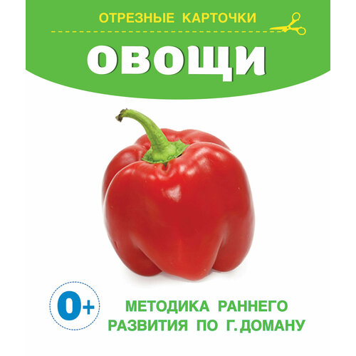 Карточки отрезные для малышей Запуск речи по Доману Овощи 140х170мм