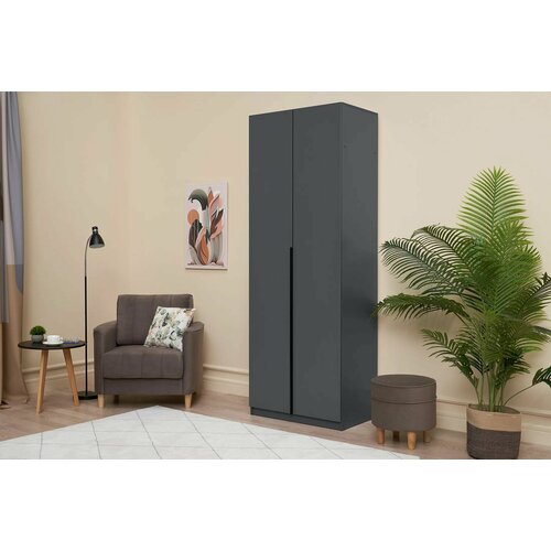 Шкаф распашной Лувр 2-х дверный серый графит с доводчиками 801х506х2216 см 10780₽