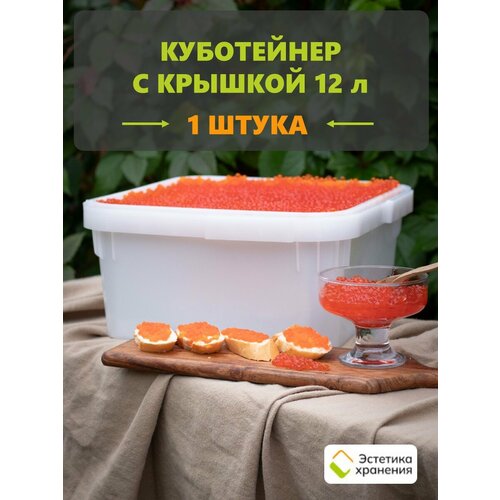 Куботейнер 12 литров (1 шт)
