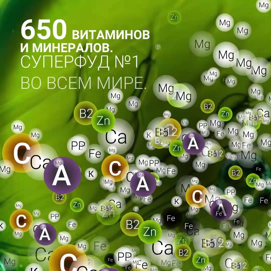 Хлорелла жидкая пищевая напиток 3 л, суперфуд для похудения, курс на 1 месяц — фото 1