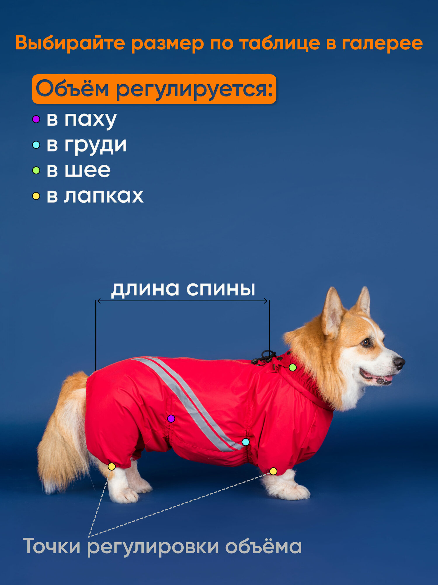 Грязезащитный комбинезон DiploDog для Корги (девочка), Одежда для Корги (девочка) — фото 1
