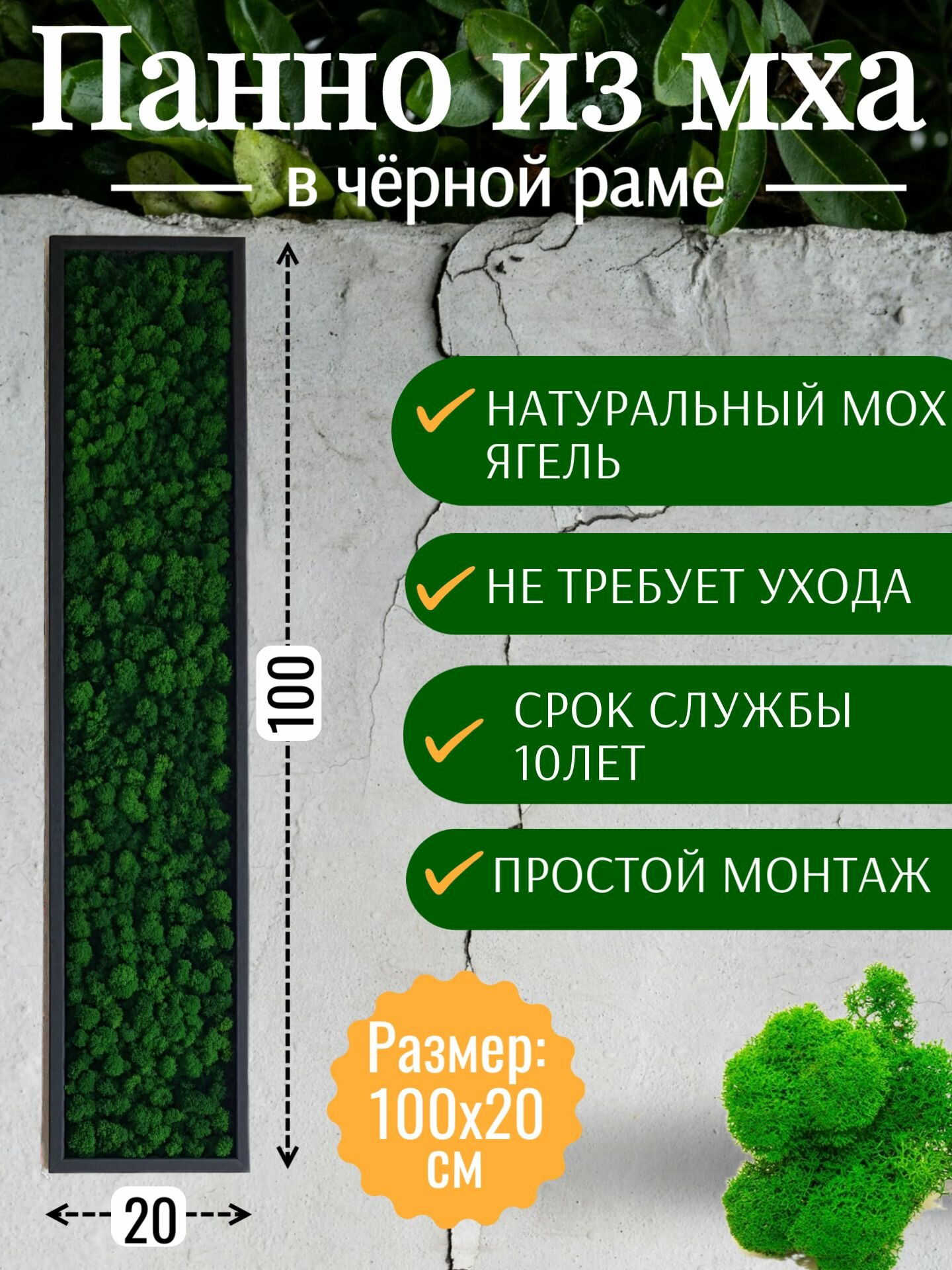 Панно "Стабилизированный мох", 100х20 см, в черной девянной раме, вертикальное