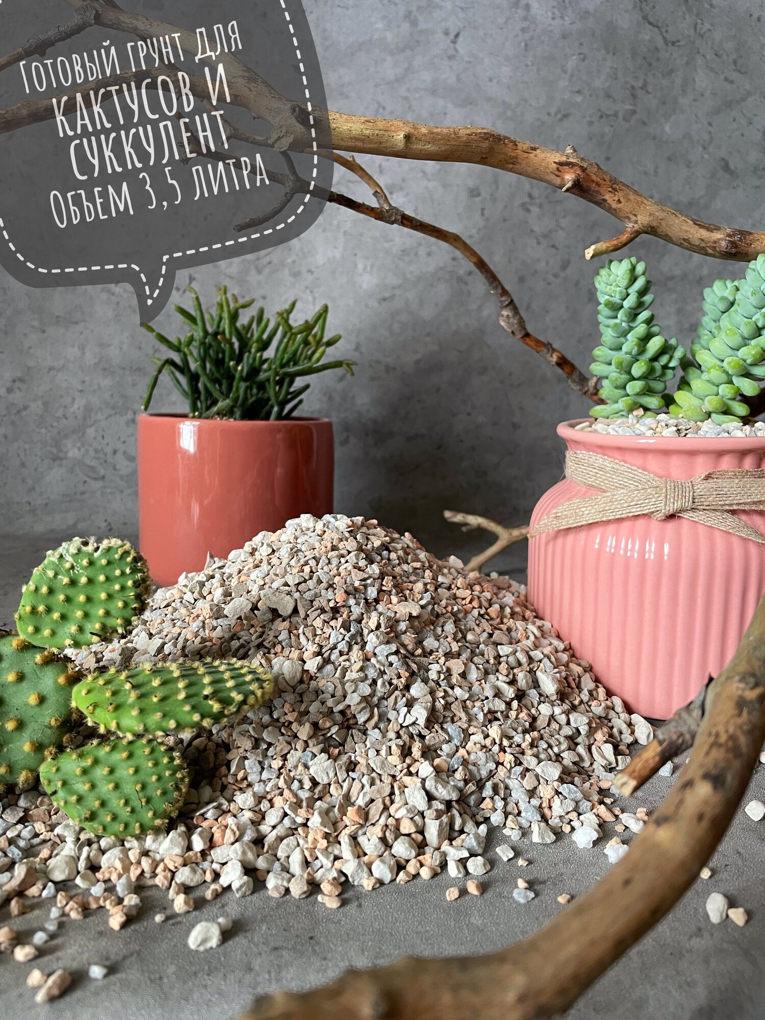Минеральный грунт для Суккуленов и Кактусов Terracotta Plants 35 л