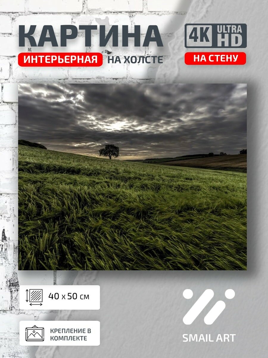 Картина на холсте интерьерная 40 на 50 на стену Пейзаж поле для гостиной атмосфера