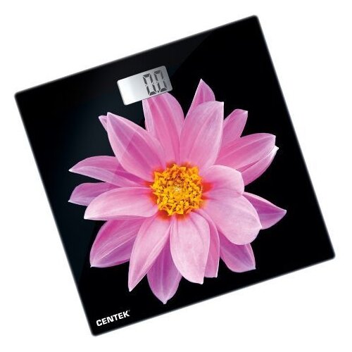фото Весы centek ct-2416 pink flower черно-розовый