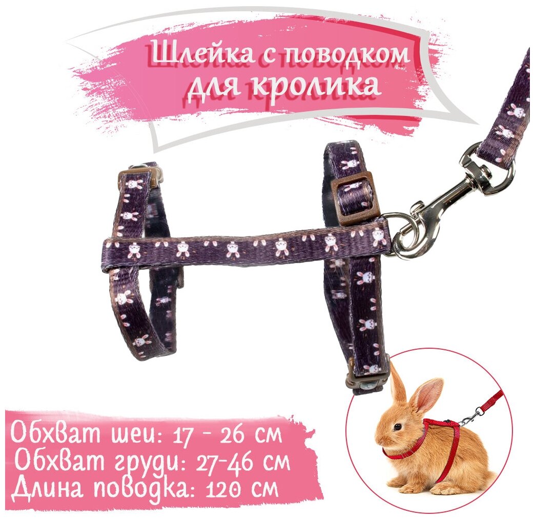 Шлейка для кроликов DUVO+ "Walking Set", коричневая, 5-45см/10 мм-120 см/10 мм (Бельгия)