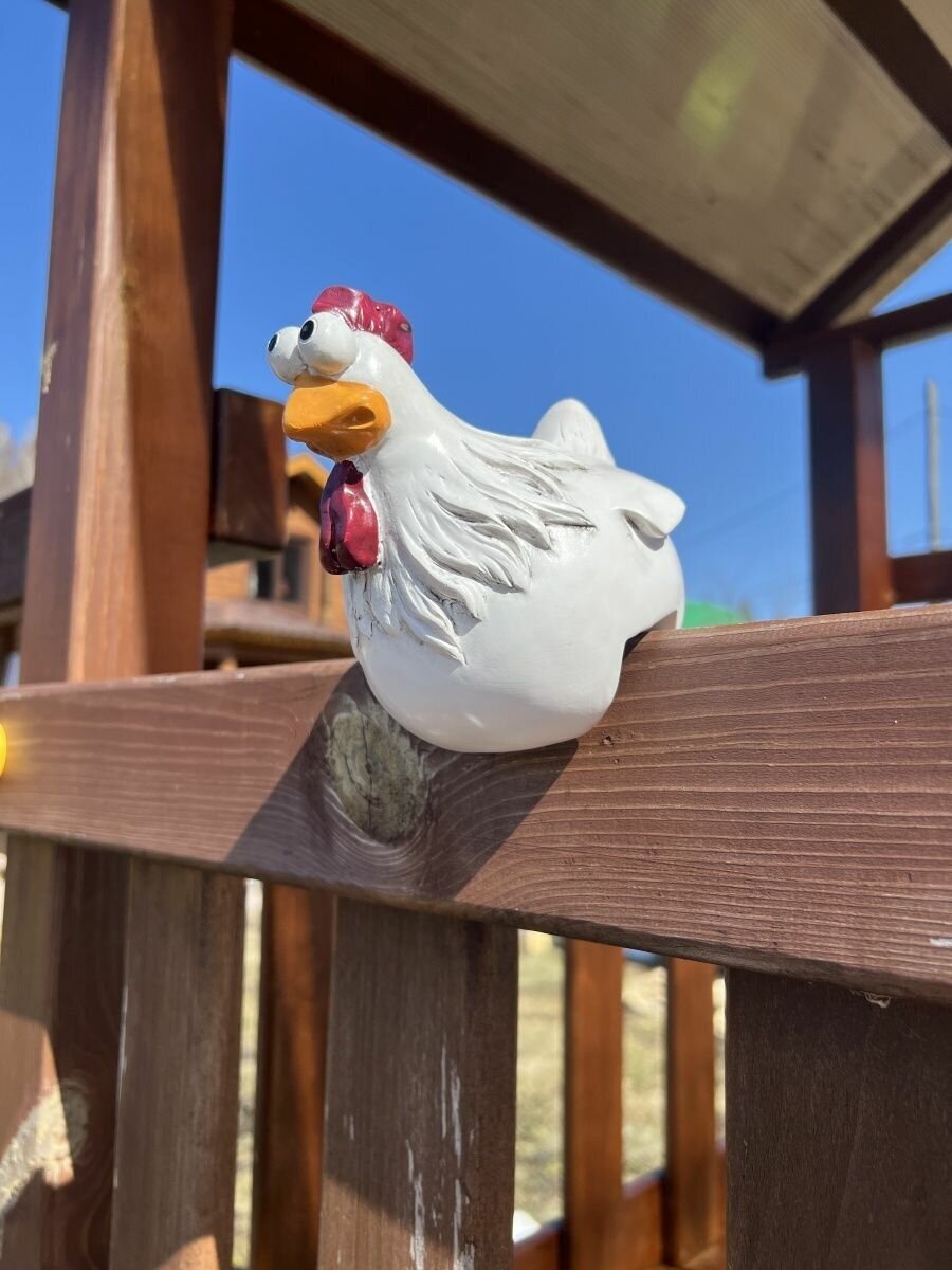 Курица на забор - фотография № 17