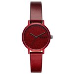 Наручные часы DKNY NY2860 - изображение