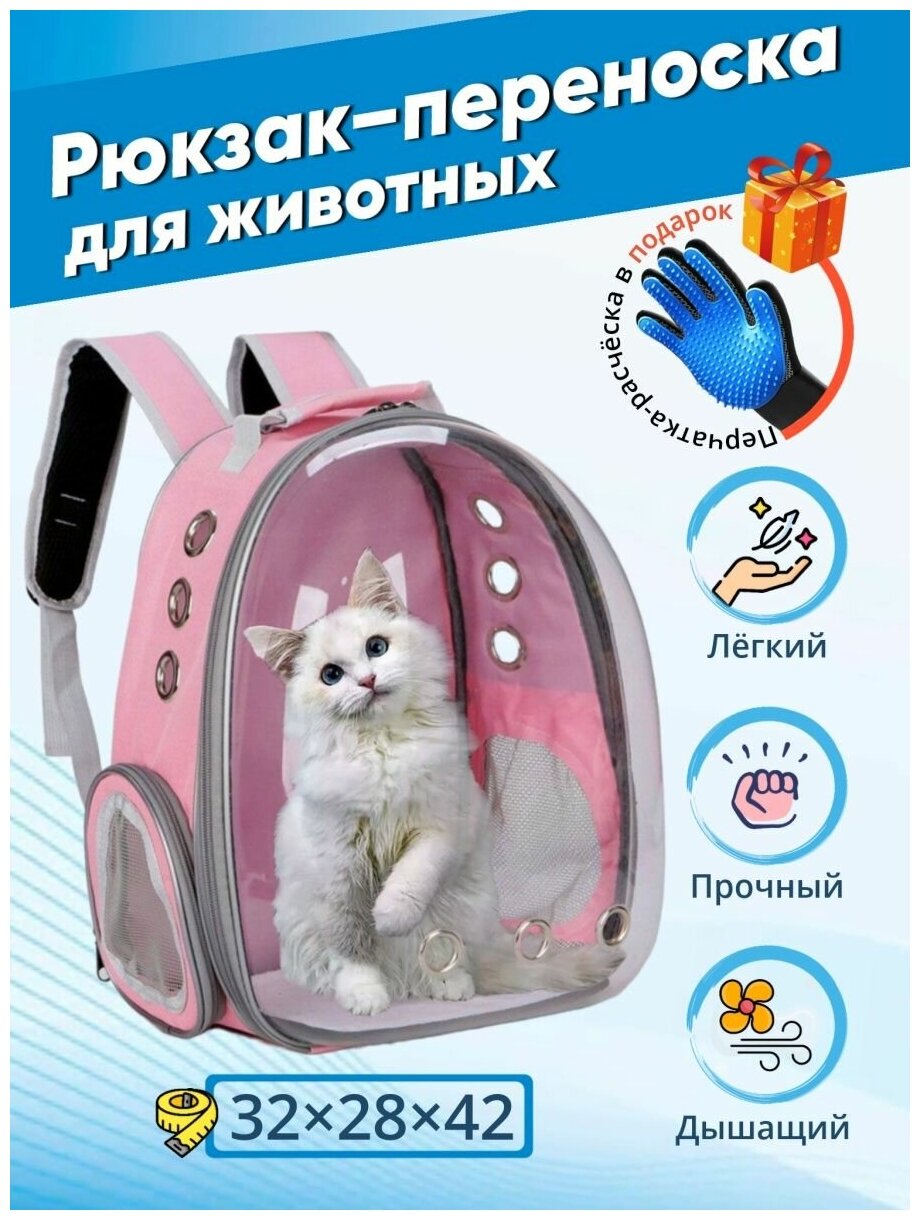 Рюкзак переноска для кошек, собак и грызунов / Рюкзак с иллюминатором для животных до 7 кг