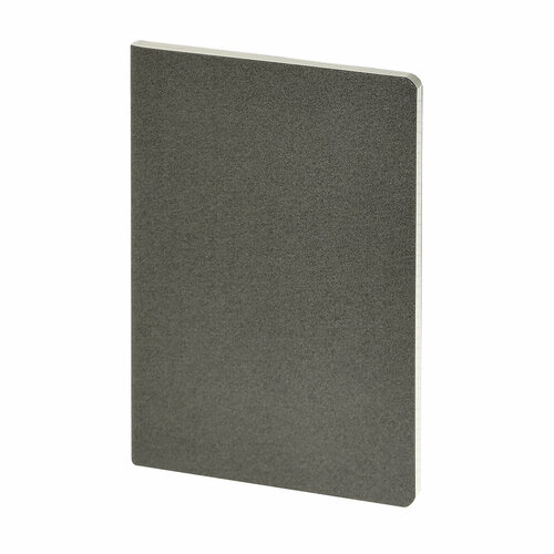 Бизнес тетрадь Bruno Visconti А5, 