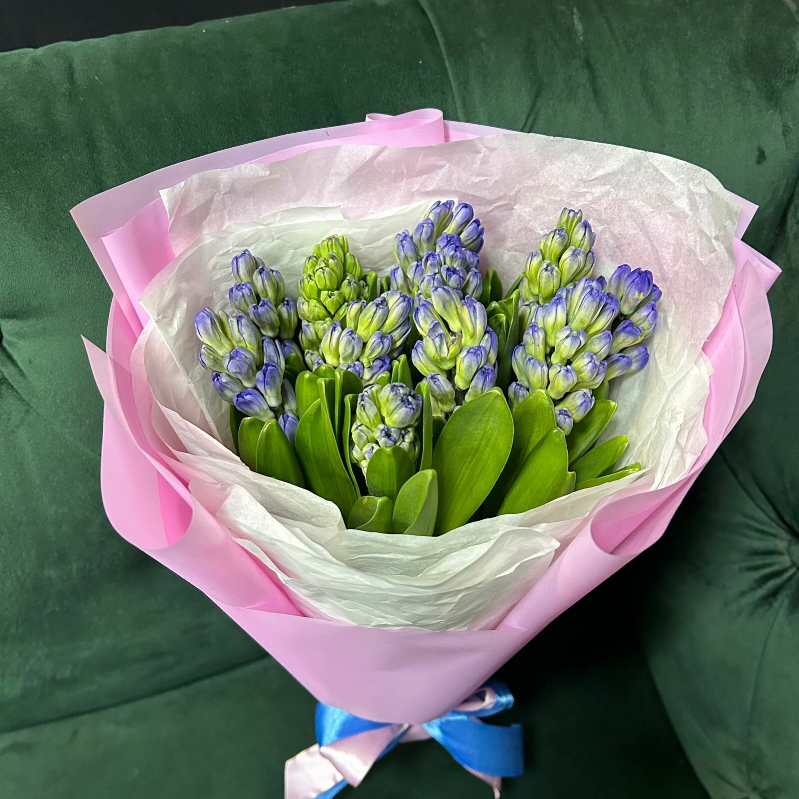 Монобукет из 11 синих ароматных гиацинтов в розовой матовой пленке