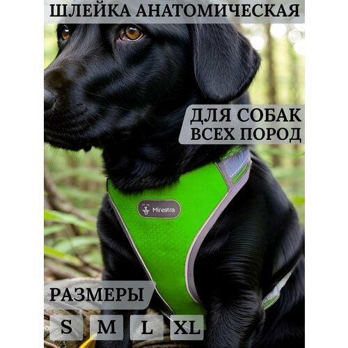 Анатомическая шлейка для собак Mirestra прогулочная светоотражающая