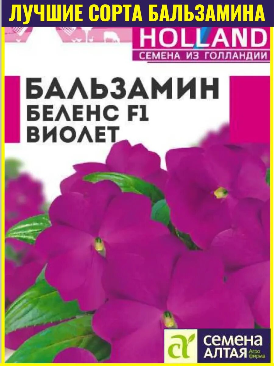 Семена бальзамина Семена Алтая Беленс Виолет, многолетник, высота 20 см
