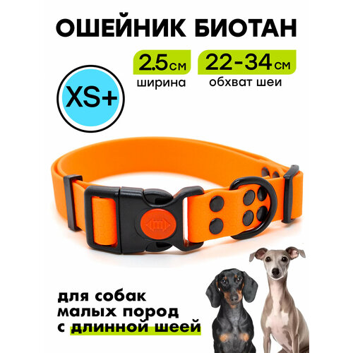 Ошейник из биотана 22-34 см (XS+), 25 мм , Woofy "Iron", для маленьких собак, водостойкий, оранжевый