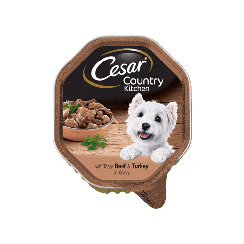 Cesar Country Kitchen / Консервы Цезарь для собак Рагу Говядина & Индейка в соусе (цена за упаковку) 150г х 14шт