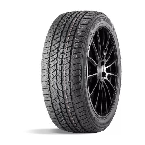 Автомобильные зимние шины Doublestar DW02 275/35 R20 102T