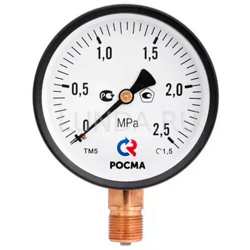 Росма Манометр ТМ-310Р.00 (0.0,6 МРа), G1/4, радиальный, росма