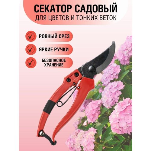 секатор садовый