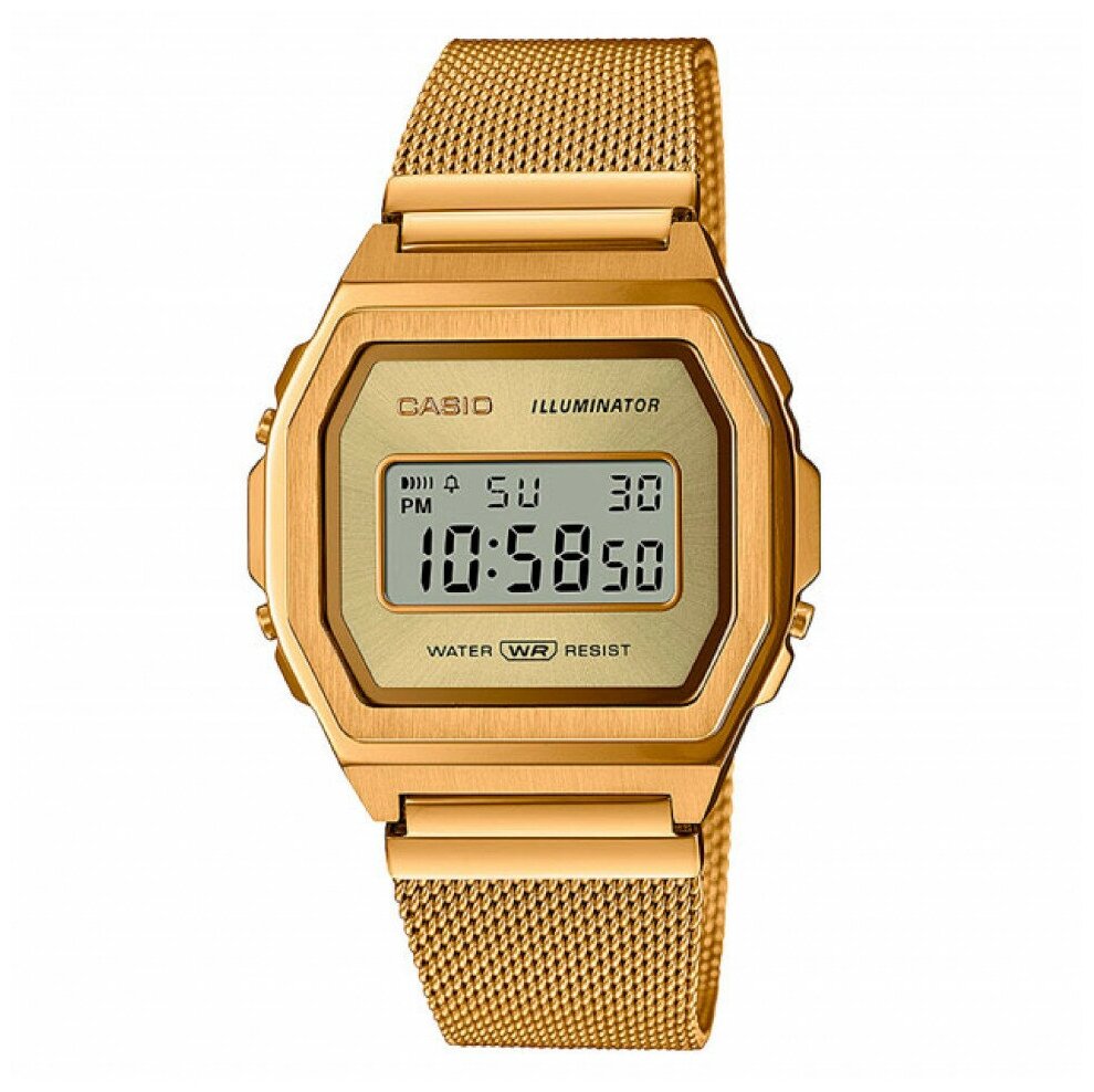 Часы наручные CASIO A-1000MG-9E