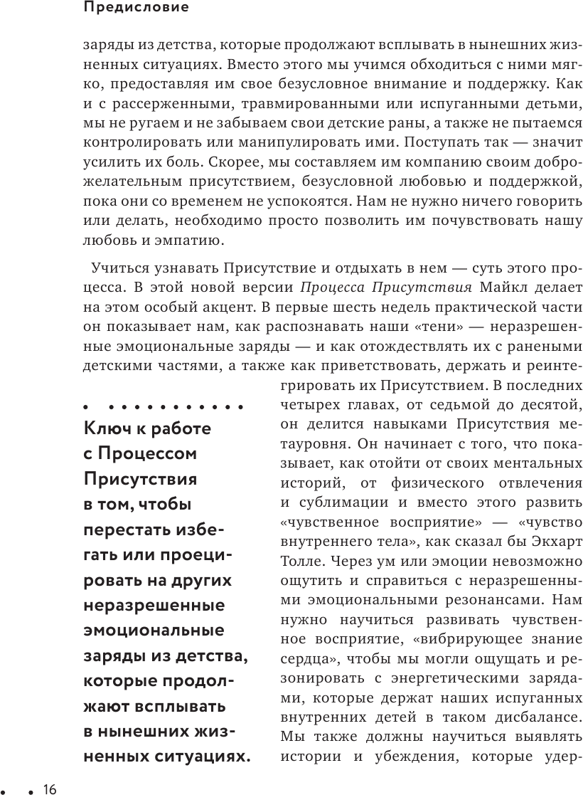 Процесс присутствия (Майкл Браун) - фото №15