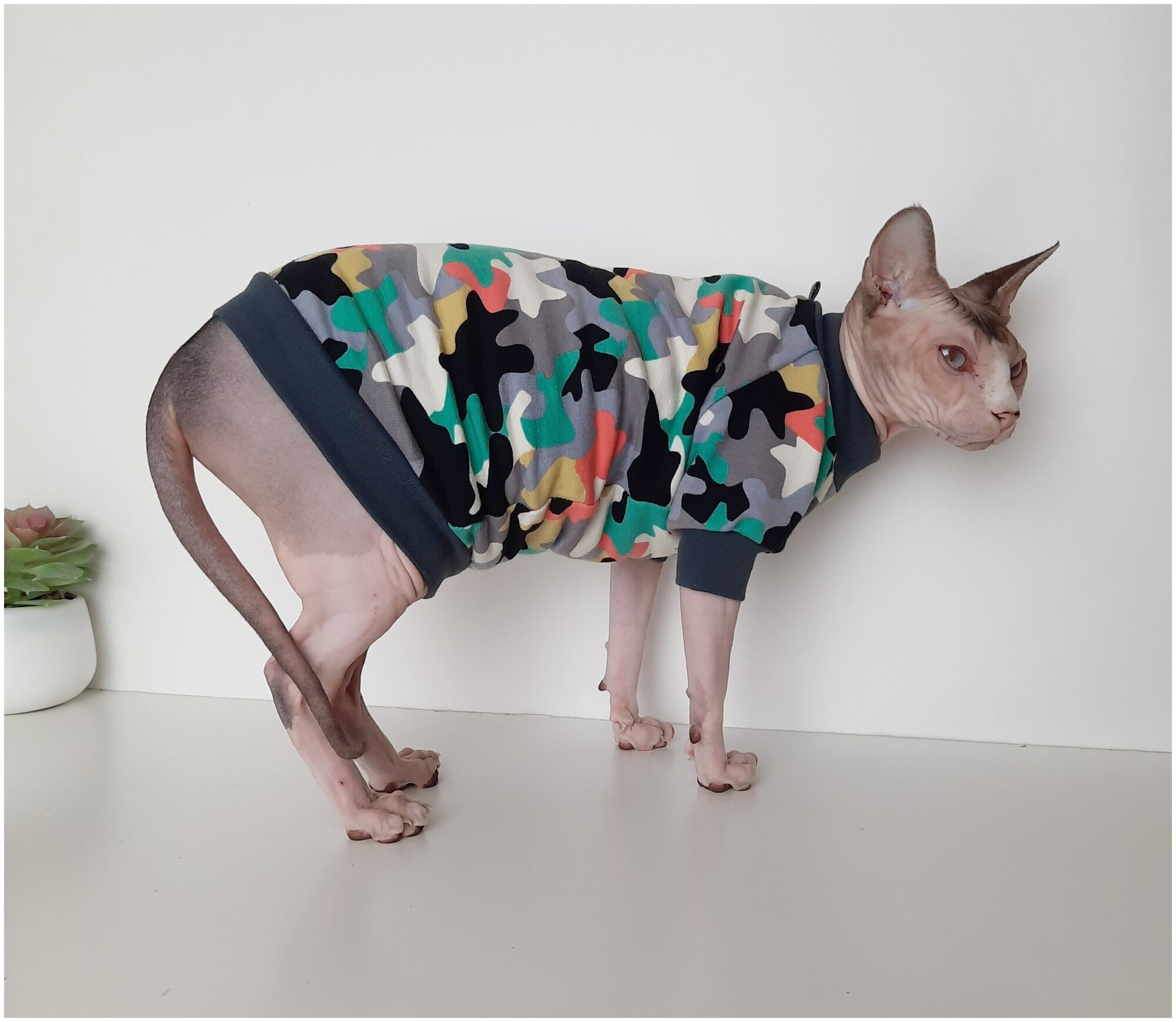 Свитшот для кошек, размер 30 (длина спины 30см), цвет милитари/ толстовка свитшот свитер для кошек сфинкс / одежда для животных - фотография № 7