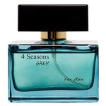 Туалетная вода Parfums Gallery 4 Seasons Grey - изображение