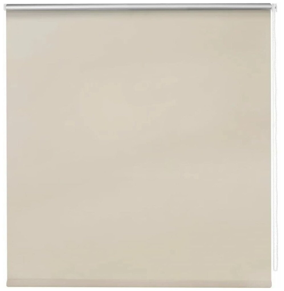 фото плёнка Рыжий кот 104318