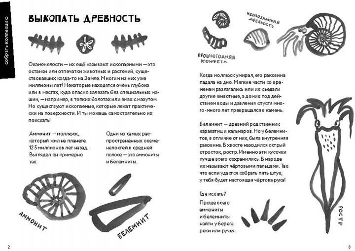 50 познавательных игр на природе - фото №4